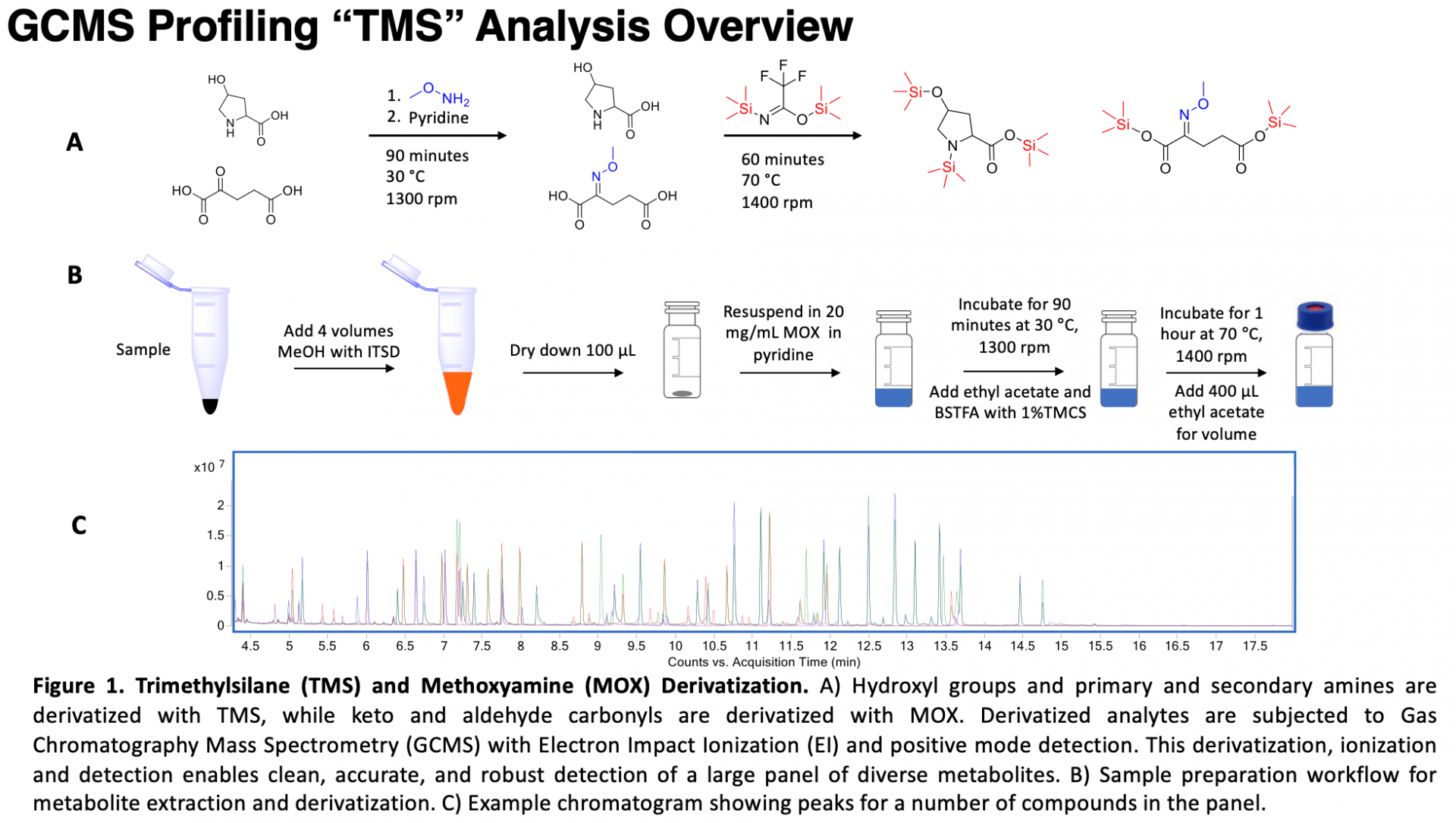 GCMS Profiling "TMS" Analysis Overview