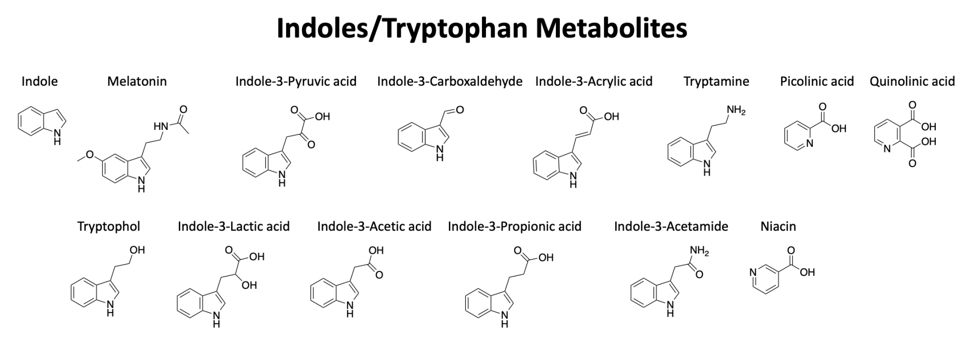 Indoles/Tryptophan Metabolites