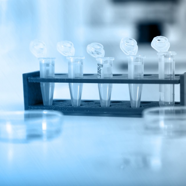 biological samples