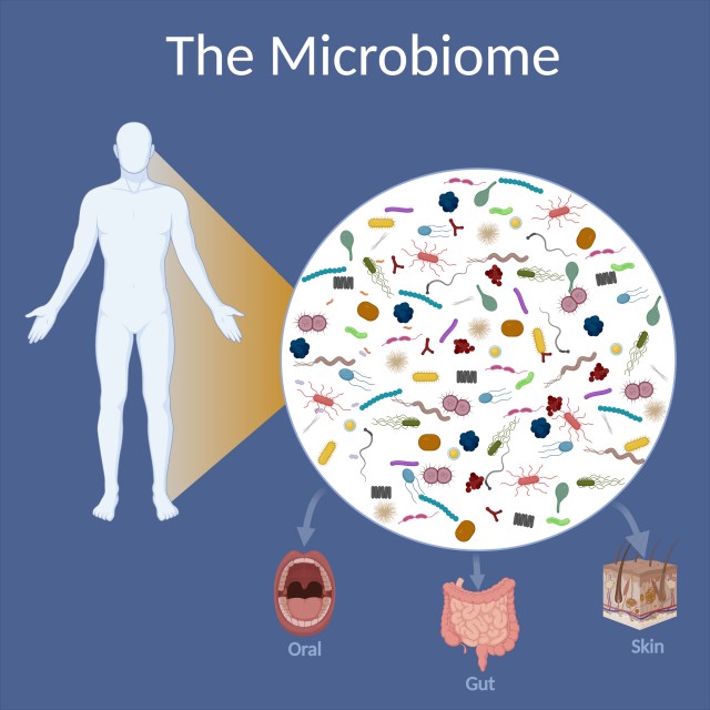 human microbiome