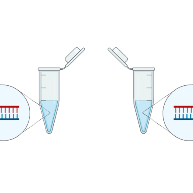 eppendorf vial no background